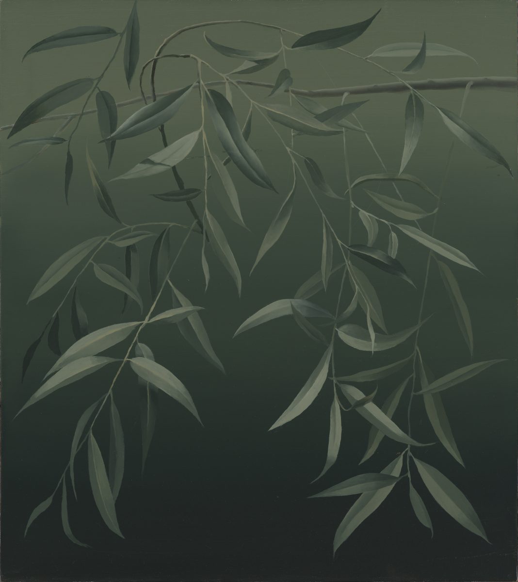 Mari Kurismaa. Silver Willow. 90 x 80 cm. Oil on canvas, 2020
